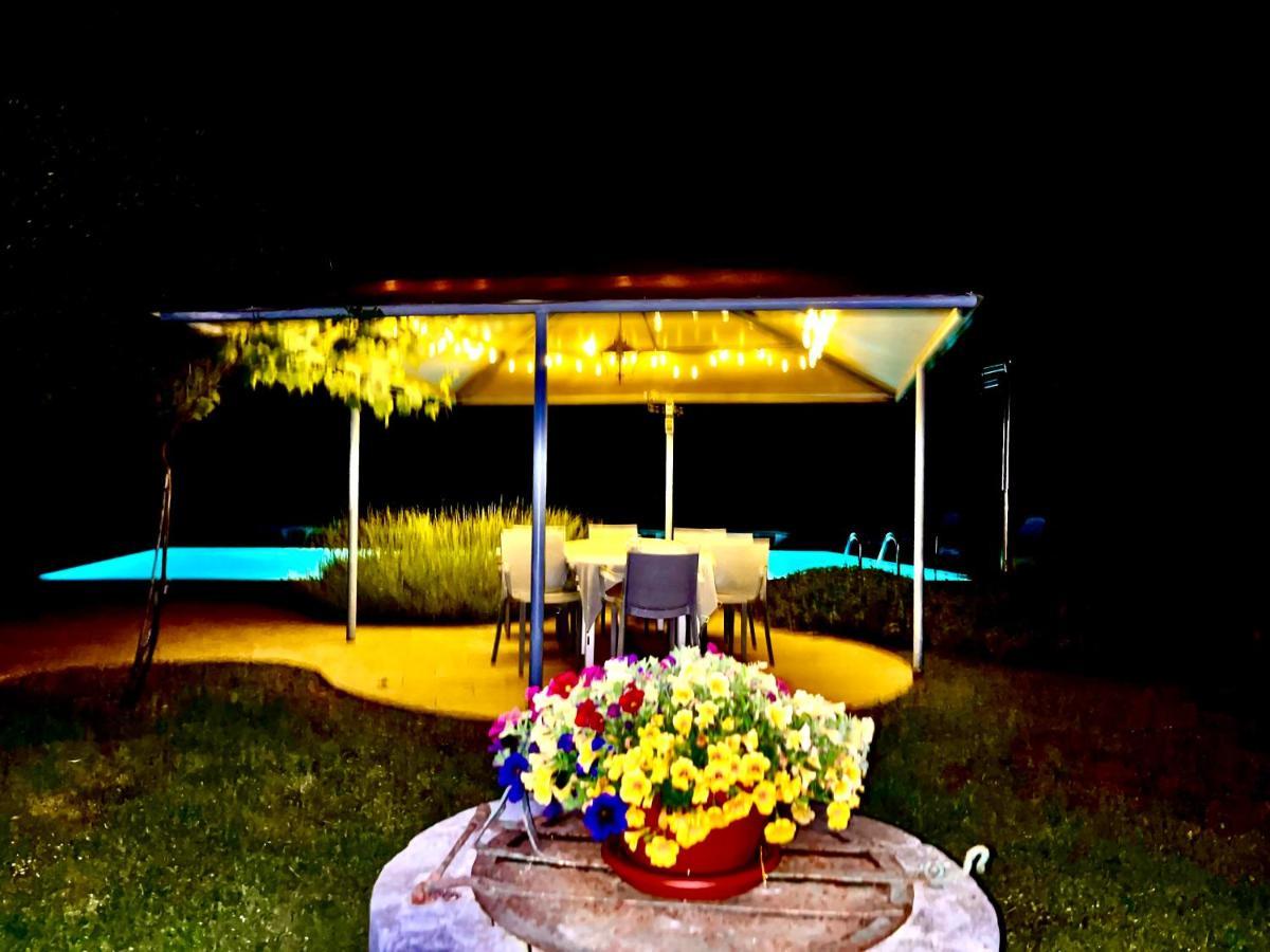 Pansion Margerita 3*