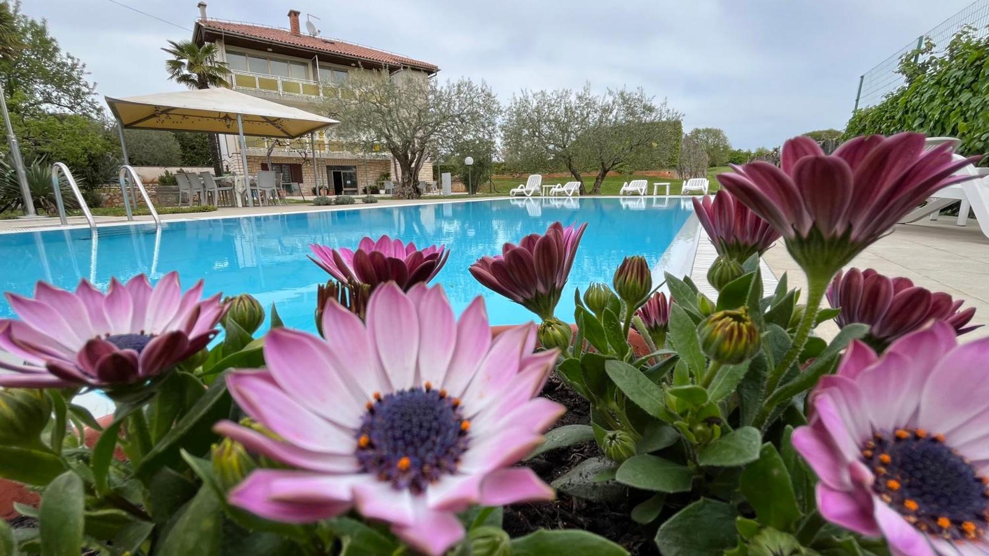 Bed & Breakfast Pansion Margerita Poreč