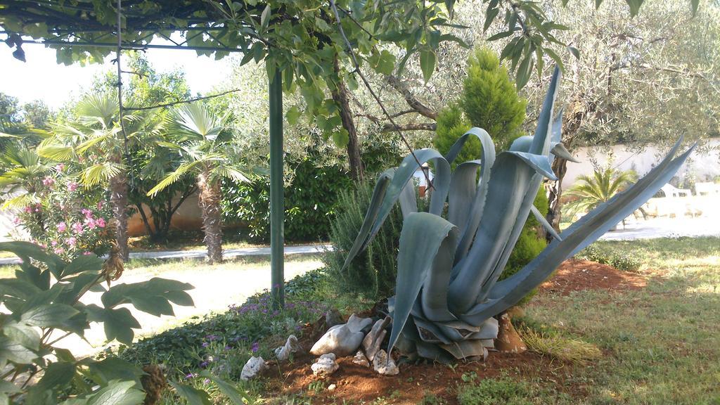 Bed & Breakfast Pansion Margerita Poreč